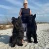 sanibelcapecod